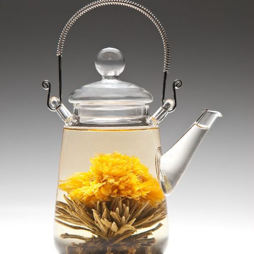 Glass pot with a flower inside